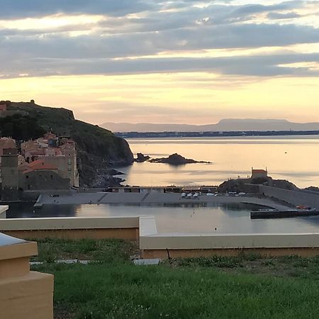 Location Vue Mer Du Samedi Au Samedi, Clim, Parking, Piscine, Plage 콜리우르 외부 사진