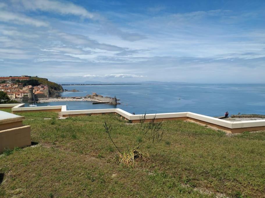 Location Vue Mer Du Samedi Au Samedi, Clim, Parking, Piscine, Plage 콜리우르 외부 사진