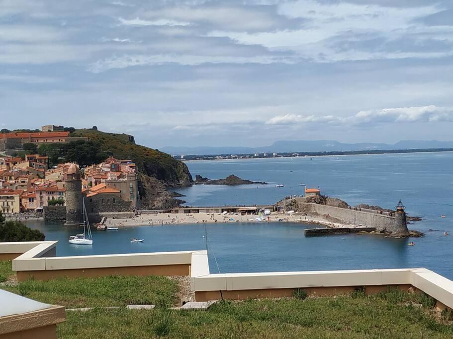 Location Vue Mer Du Samedi Au Samedi, Clim, Parking, Piscine, Plage 콜리우르 외부 사진