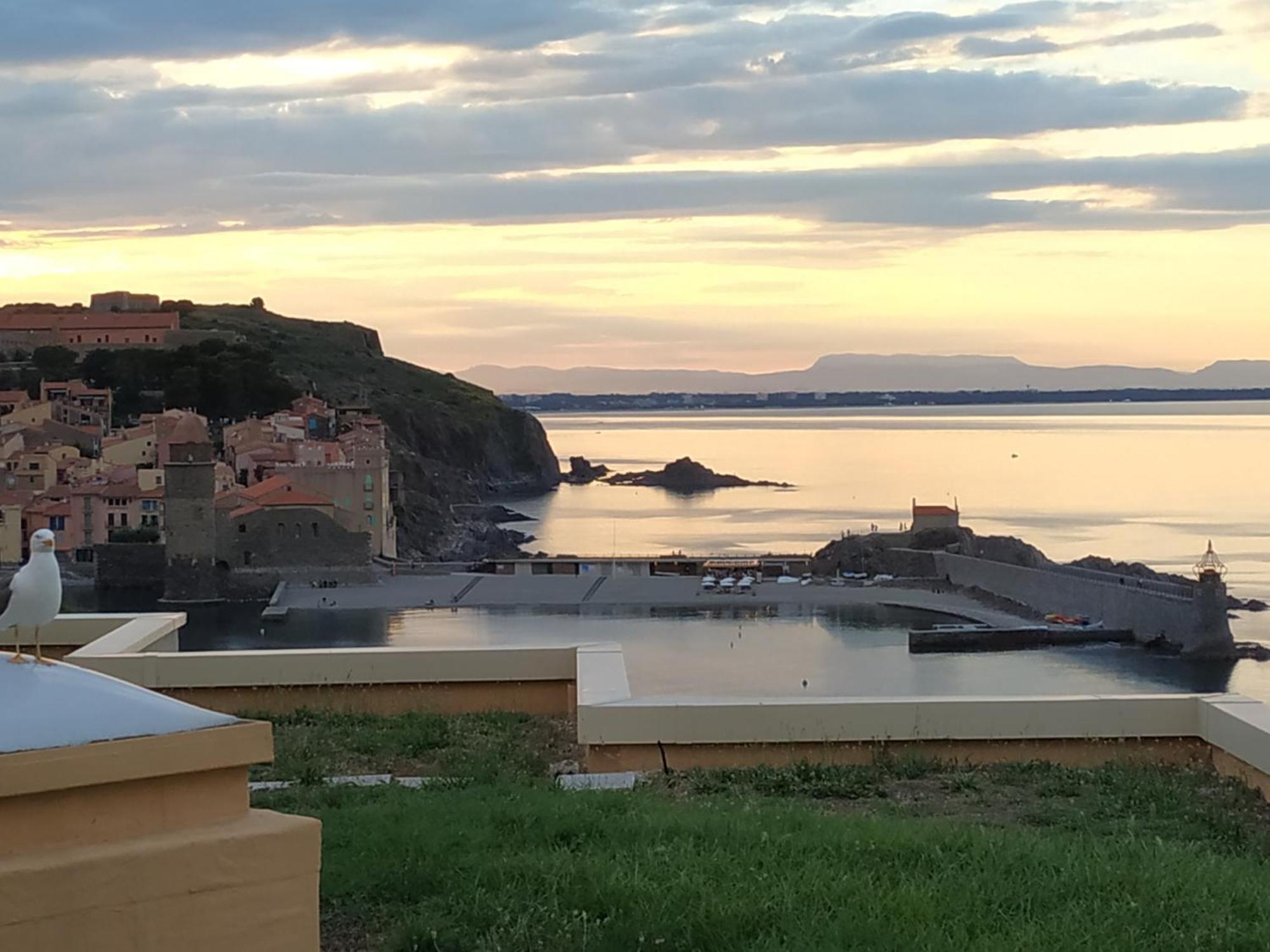 Location Vue Mer Du Samedi Au Samedi, Clim, Parking, Piscine, Plage 콜리우르 외부 사진